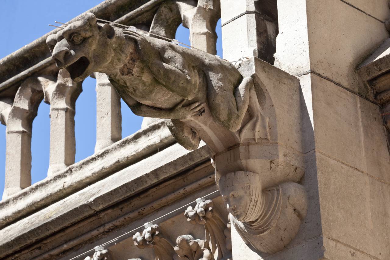 Notre-Dame Cathedral's Gargoyles: Guardians of a Gothic Masterpiece