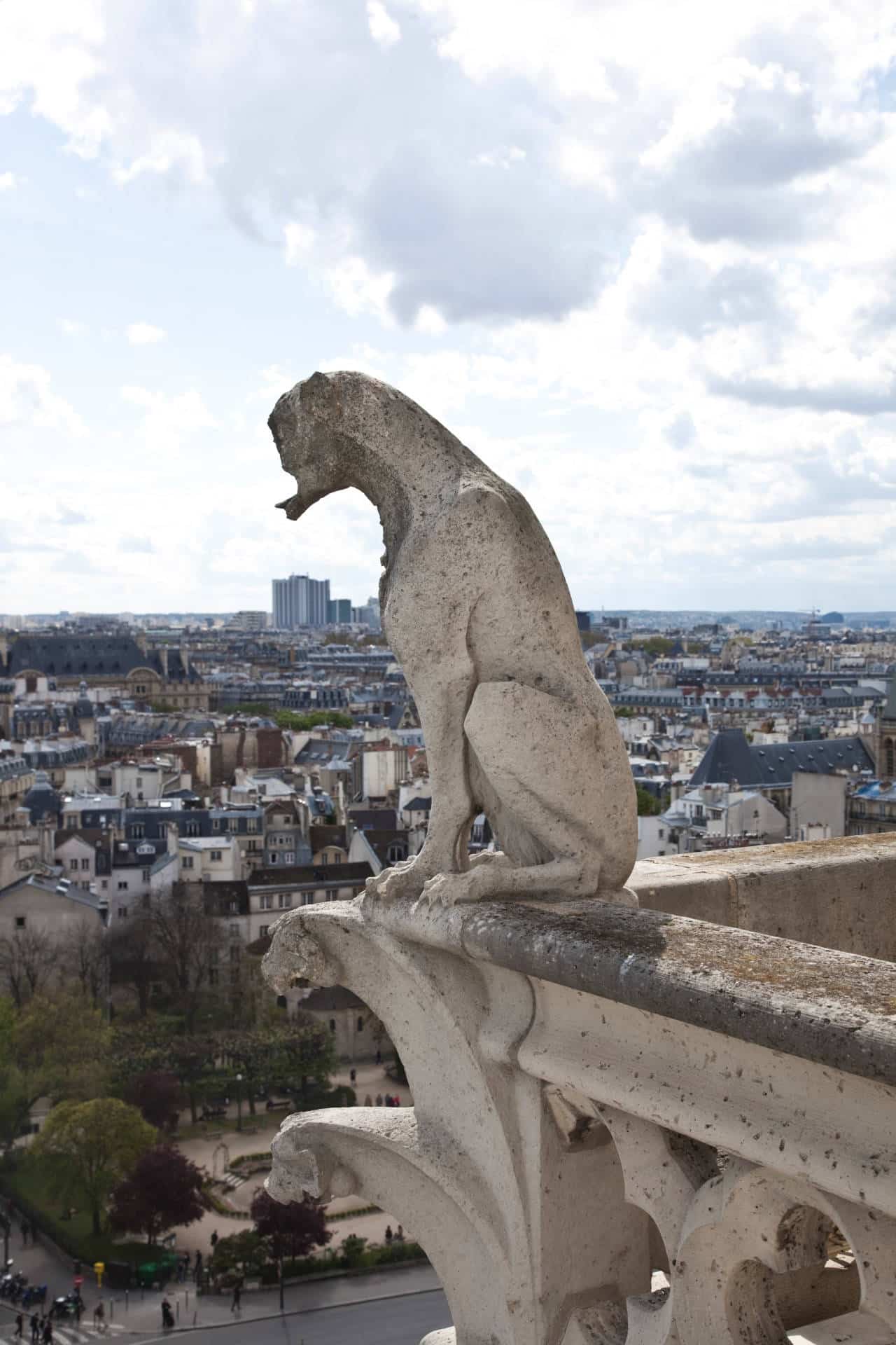 Grotesque restoration Notre Dame Cathedral